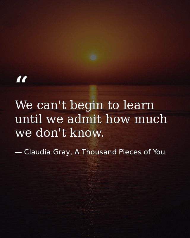 We can't begin to learn until we admit how much we don't know. — Claudia Gray, A Thousand Pieces of You