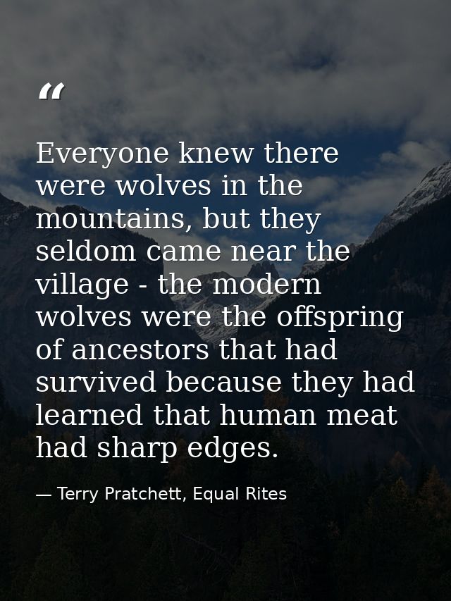 Everyone knew there were wolves in the mountains, but they seldom came near the village - the modern wolves were the off — Terry Pratchett, Equal Rites
