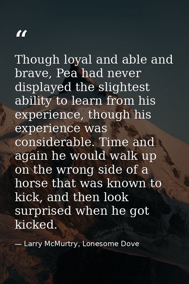 Though loyal and able and brave, Pea had never displayed the slightest ability to learn from his experience, though his  — Larry McMurtry, Lonesome Dove