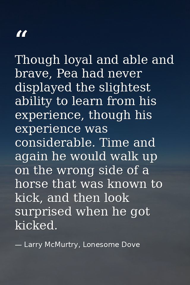 Though loyal and able and brave, Pea had never displayed the slightest ability to learn from his experience, though his  — Larry McMurtry, Lonesome Dove