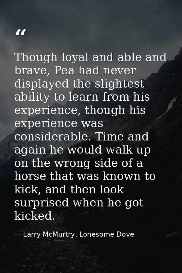 Though loyal and able and brave, Pea had never displayed the slightest ability to learn from his experience, though his  — Larry McMurtry, Lonesome Dove