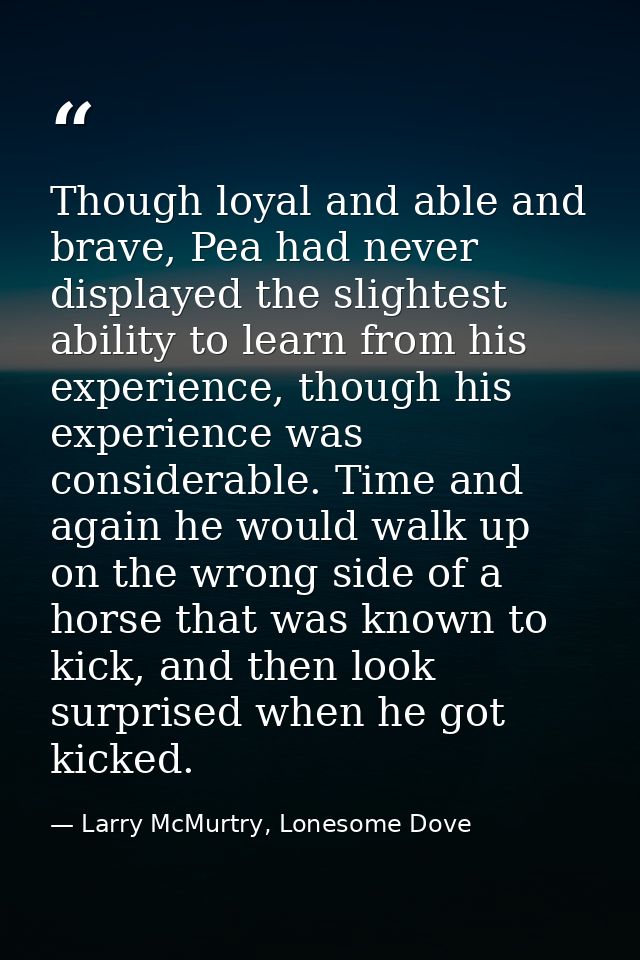 Though loyal and able and brave, Pea had never displayed the slightest ability to learn from his experience, though his  — Larry McMurtry, Lonesome Dove