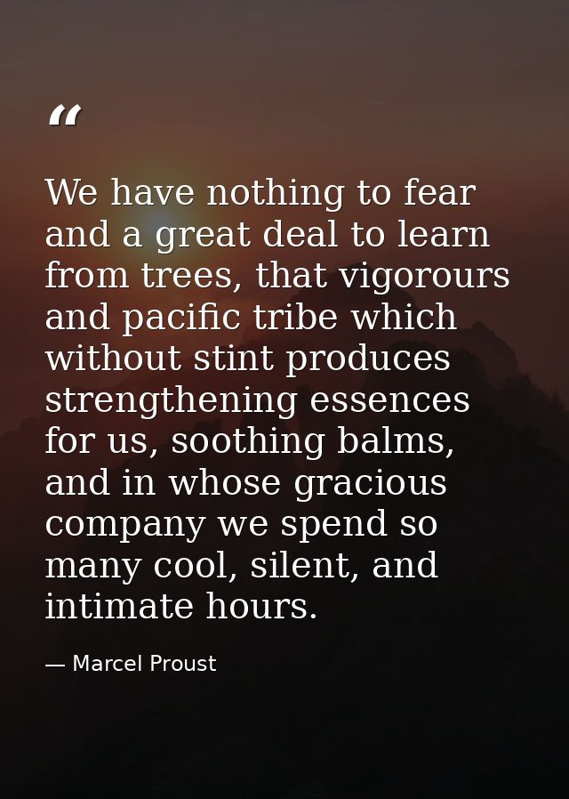 We have nothing to fear and a great deal to learn from trees, that vigorours and pacific tribe which without stint produ — Marcel Proust