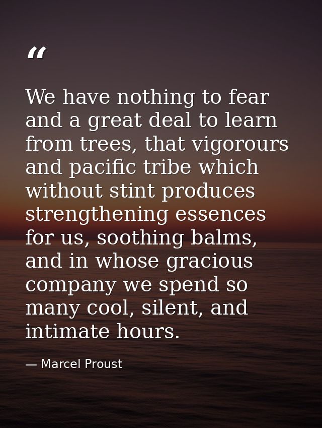 We have nothing to fear and a great deal to learn from trees, that vigorours and pacific tribe which without stint produ — Marcel Proust