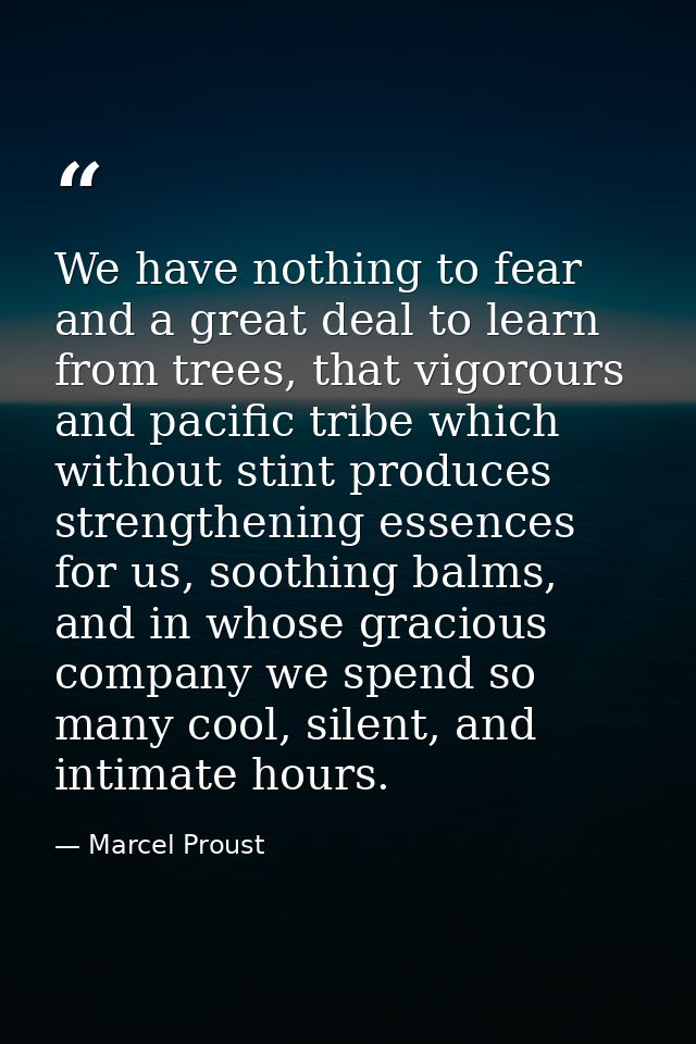 We have nothing to fear and a great deal to learn from trees, that vigorours and pacific tribe which without stint produ — Marcel Proust