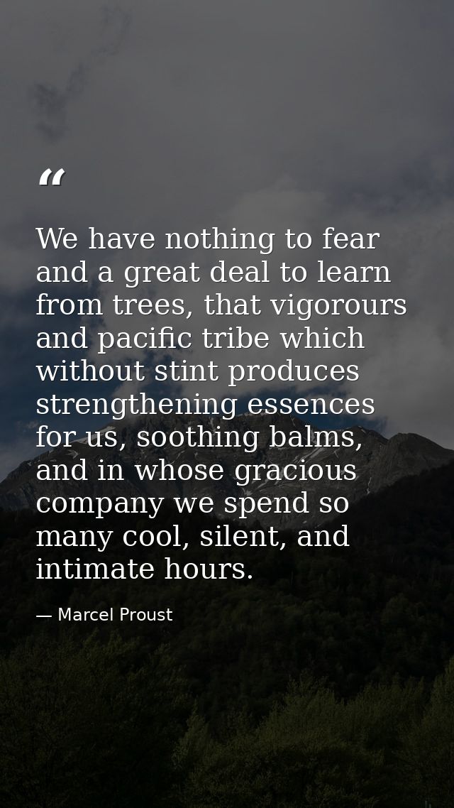 We have nothing to fear and a great deal to learn from trees, that vigorours and pacific tribe which without stint produ — Marcel Proust