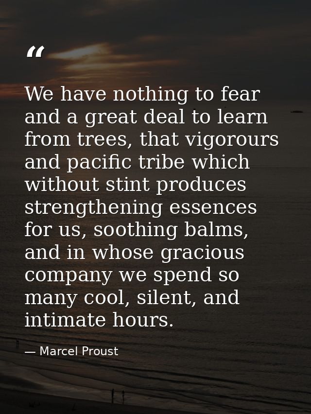 We have nothing to fear and a great deal to learn from trees, that vigorours and pacific tribe which without stint produ — Marcel Proust