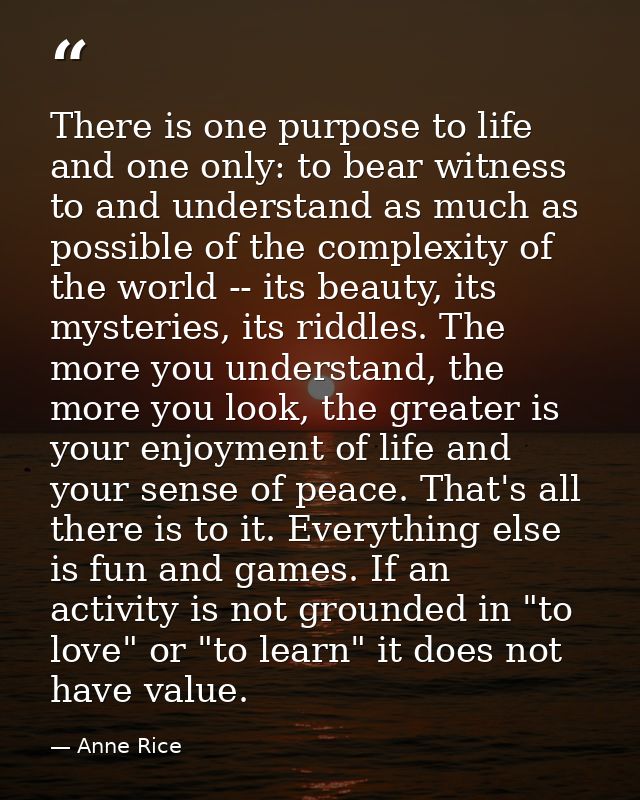 There is one purpose to life and one only: to bear witness to and understand as much as possible of the complexity of th — Anne Rice