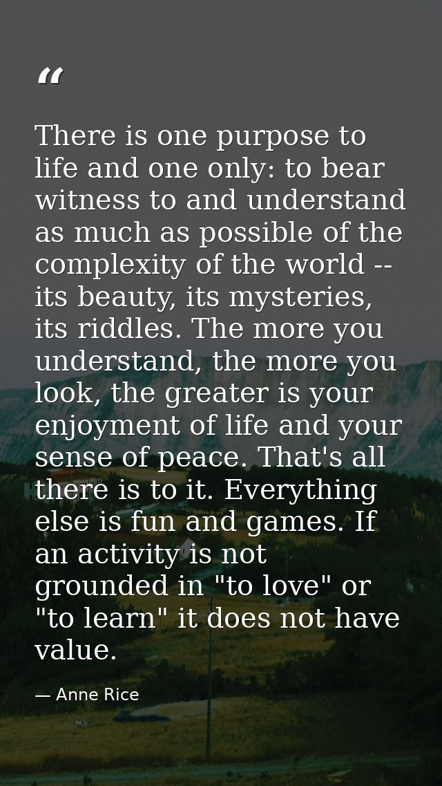 There is one purpose to life and one only: to bear witness to and understand as much as possible of the complexity of th — Anne Rice