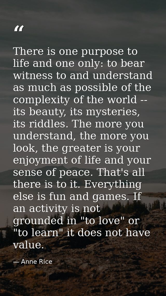 There is one purpose to life and one only: to bear witness to and understand as much as possible of the complexity of th — Anne Rice