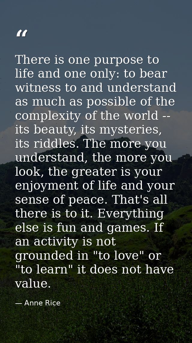 There is one purpose to life and one only: to bear witness to and understand as much as possible of the complexity of th — Anne Rice