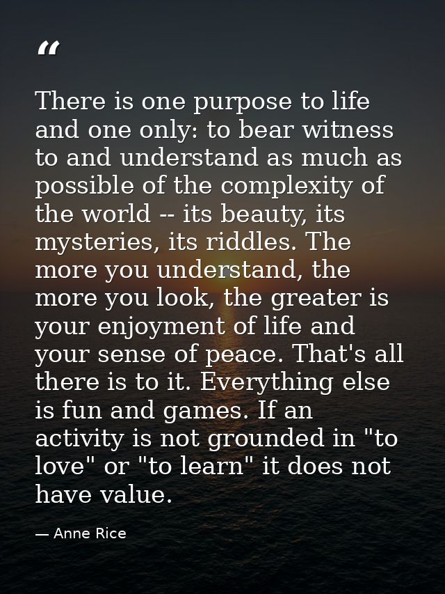 There is one purpose to life and one only: to bear witness to and understand as much as possible of the complexity of th — Anne Rice