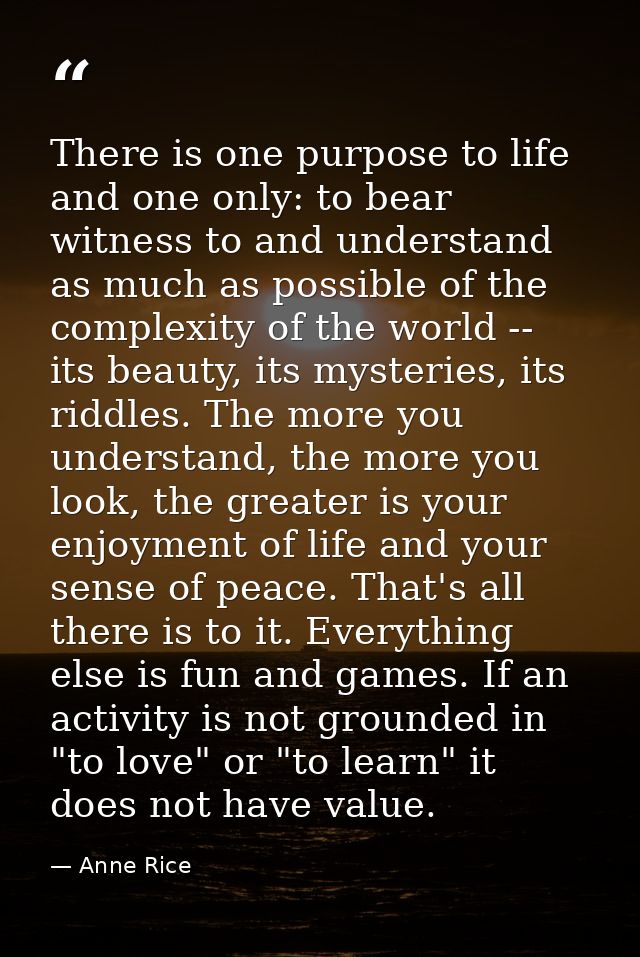 There is one purpose to life and one only: to bear witness to and understand as much as possible of the complexity of th — Anne Rice