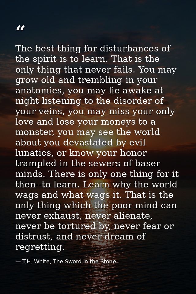 The best thing for disturbances of the spirit is to learn. That is the only thing that never fails. You may grow old and — T.H. White, The Sword in the Stone