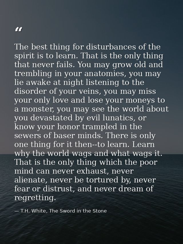 The best thing for disturbances of the spirit is to learn. That is the only thing that never fails. You may grow old and — T.H. White, The Sword in the Stone