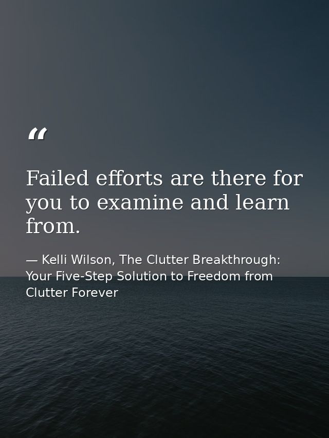 Failed efforts are there for you to examine and learn from. — Kelli Wilson, The Clutter Breakthrough: Your Five-Step Solution to Freedom from Clutter Forever