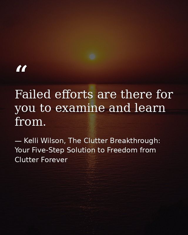 Failed efforts are there for you to examine and learn from. — Kelli Wilson, The Clutter Breakthrough: Your Five-Step Solution to Freedom from Clutter Forever