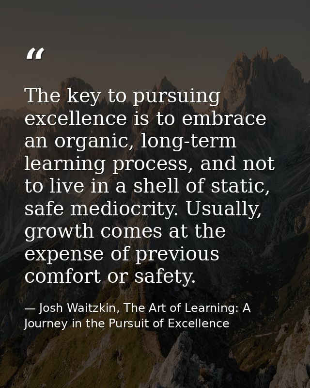 The key to pursuing excellence is to embrace an organic, long-term learning process, and not to live in a shell of stati — Josh Waitzkin, The Art of Learning: A Journey in the Pursuit of Excellence