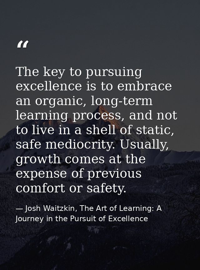 The key to pursuing excellence is to embrace an organic, long-term learning process, and not to live in a shell of stati — Josh Waitzkin, The Art of Learning: A Journey in the Pursuit of Excellence