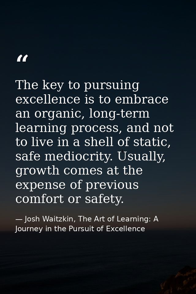 The key to pursuing excellence is to embrace an organic, long-term learning process, and not to live in a shell of stati — Josh Waitzkin, The Art of Learning: A Journey in the Pursuit of Excellence