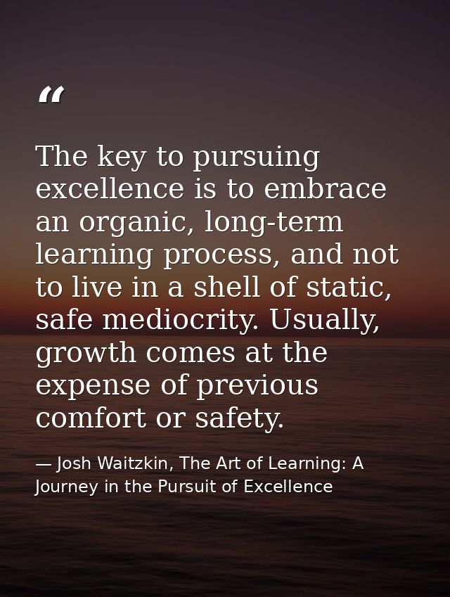 The key to pursuing excellence is to embrace an organic, long-term learning process, and not to live in a shell of stati — Josh Waitzkin, The Art of Learning: A Journey in the Pursuit of Excellence
