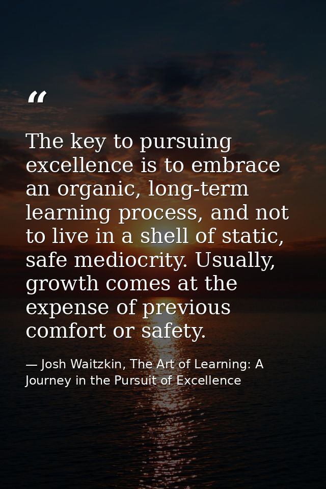 The key to pursuing excellence is to embrace an organic, long-term learning process, and not to live in a shell of stati — Josh Waitzkin, The Art of Learning: A Journey in the Pursuit of Excellence