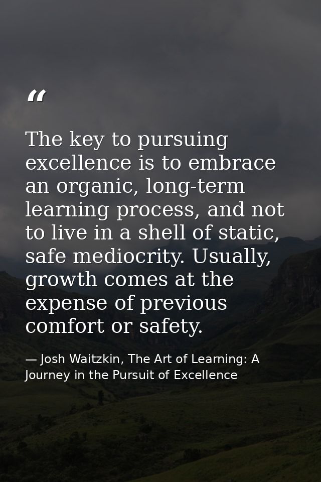 The key to pursuing excellence is to embrace an organic, long-term learning process, and not to live in a shell of stati — Josh Waitzkin, The Art of Learning: A Journey in the Pursuit of Excellence
