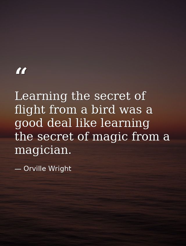 Learning the secret of flight from a bird was a good deal like learning the secret of magic from a magician. — Orville Wright
