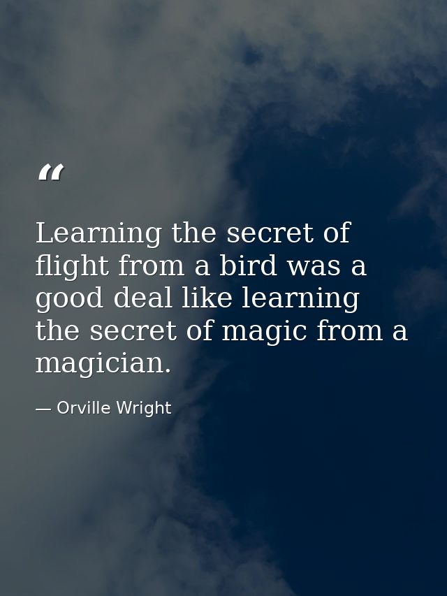 Learning the secret of flight from a bird was a good deal like learning the secret of magic from a magician. — Orville Wright