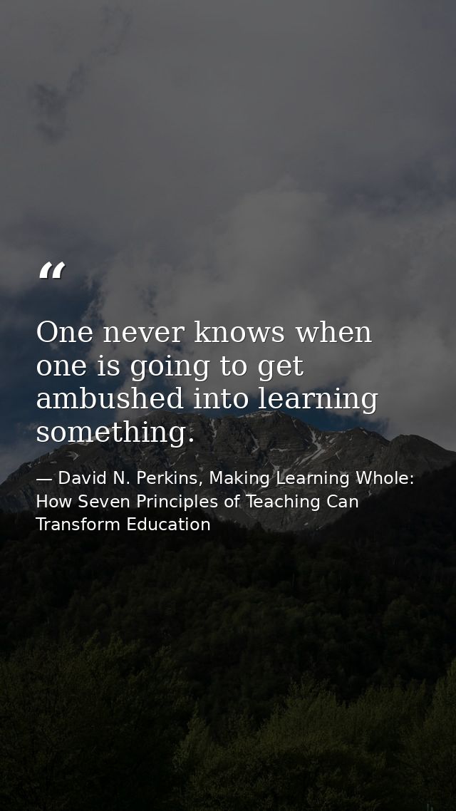 One never knows when one is going to get ambushed into learning something. — David N. Perkins, Making Learning Whole: How Seven Principles of Teaching Can Transform Education