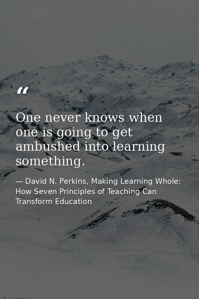 One never knows when one is going to get ambushed into learning something. — David N. Perkins, Making Learning Whole: How Seven Principles of Teaching Can Transform Education