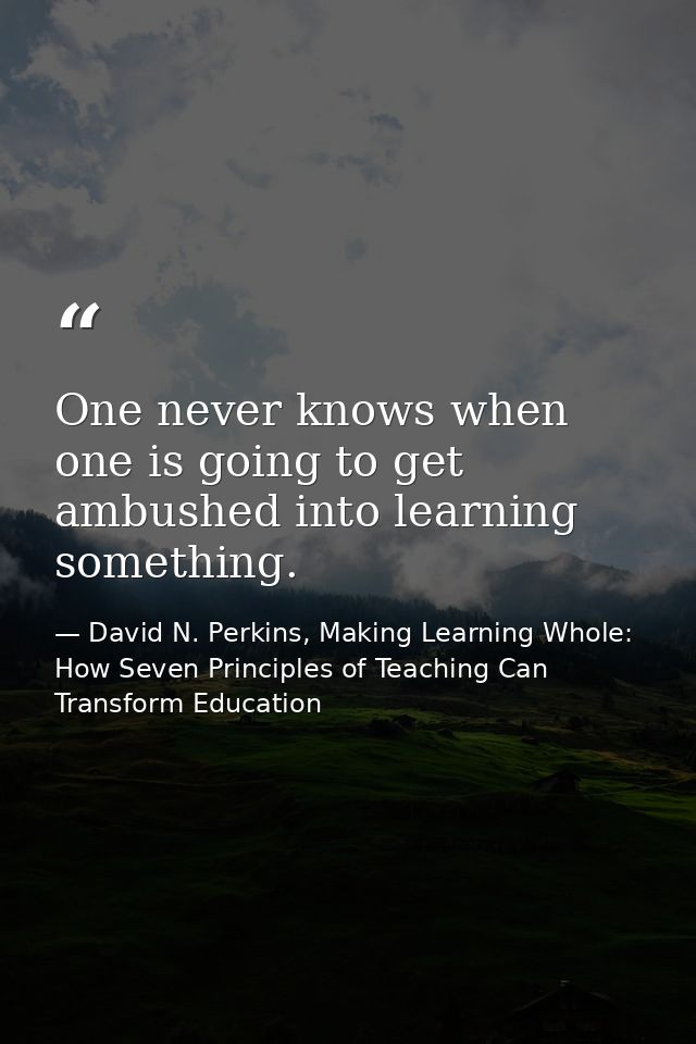 One never knows when one is going to get ambushed into learning something. — David N. Perkins, Making Learning Whole: How Seven Principles of Teaching Can Transform Education