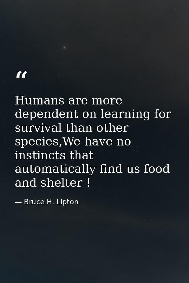 Humans are more dependent on learning for survival than other species,We have no instincts that automatically find us fo — Bruce H. Lipton