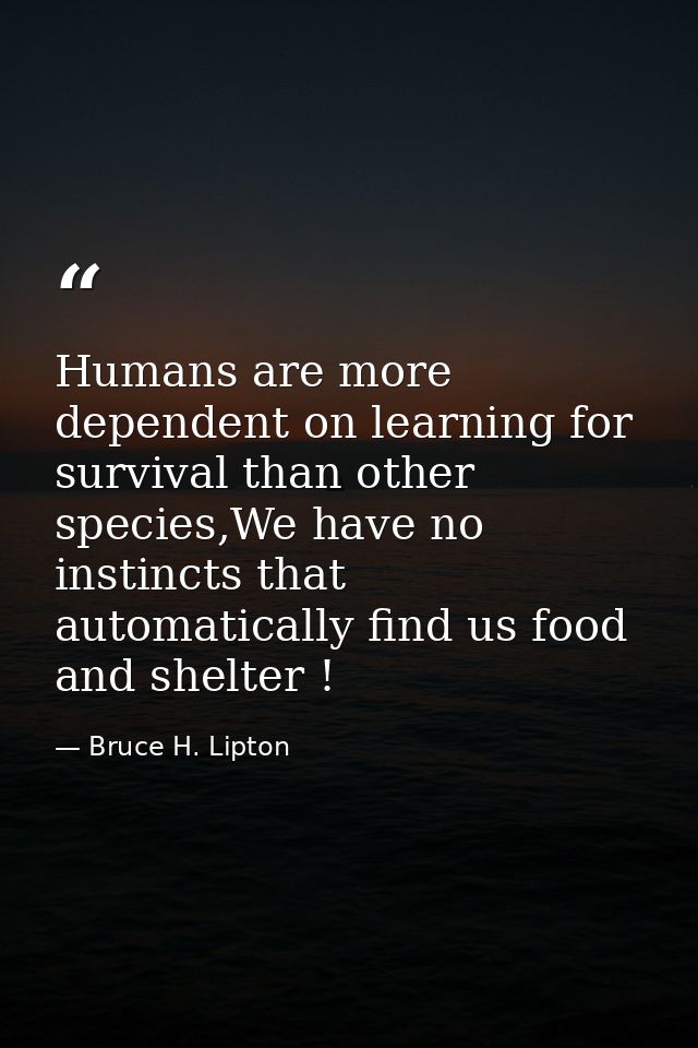 Humans are more dependent on learning for survival than other species,We have no instincts that automatically find us fo — Bruce H. Lipton