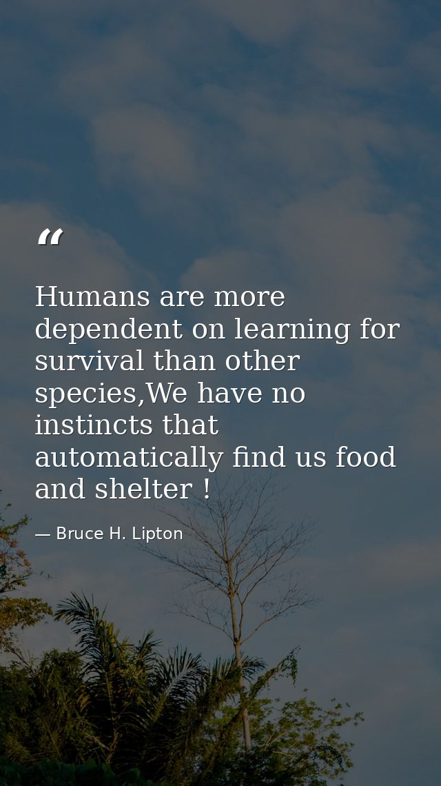 Humans are more dependent on learning for survival than other species,We have no instincts that automatically find us fo — Bruce H. Lipton