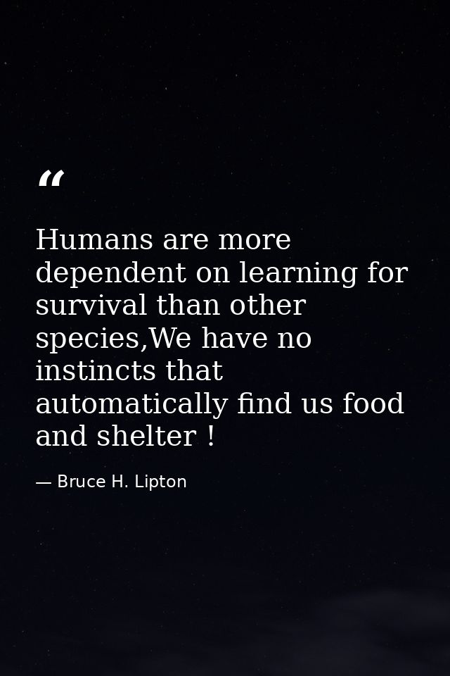 Humans are more dependent on learning for survival than other species,We have no instincts that automatically find us fo — Bruce H. Lipton