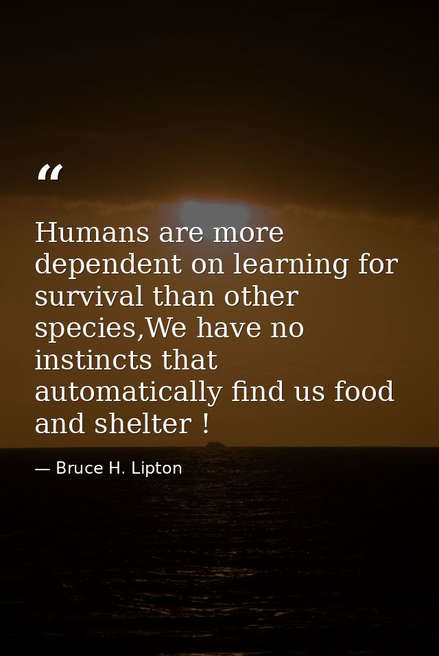 Humans are more dependent on learning for survival than other species,We have no instincts that automatically find us fo — Bruce H. Lipton