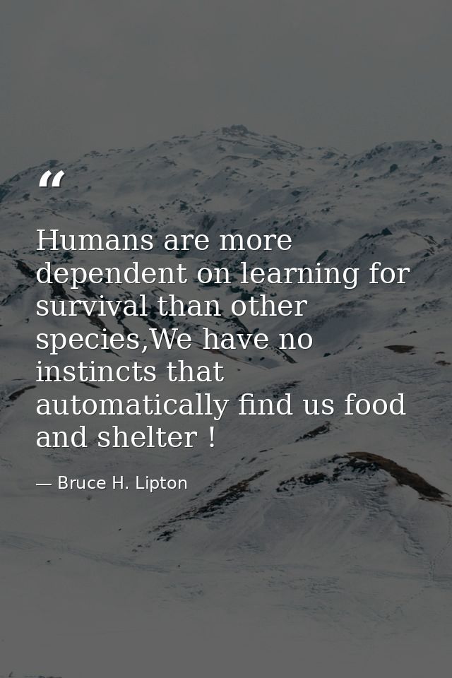 Humans are more dependent on learning for survival than other species,We have no instincts that automatically find us fo — Bruce H. Lipton