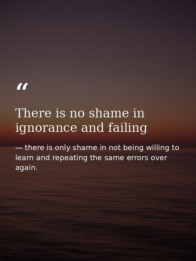 There is no shame in ignorance and failing — there is only shame in not being willing to learn and repeating the same errors over again.