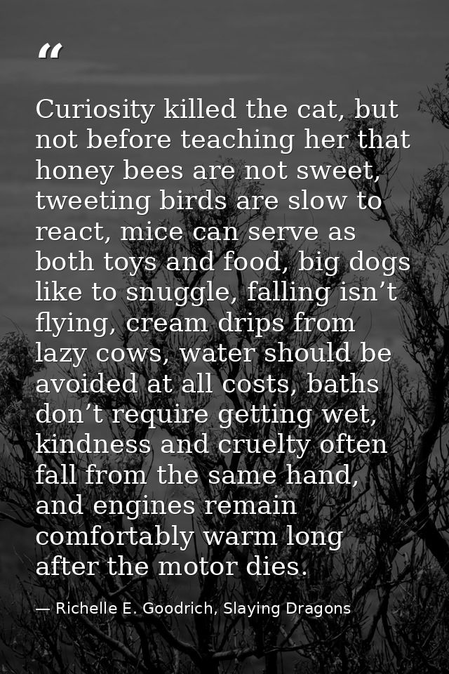 Curiosity killed the cat, but not before teaching her that honey bees are not sweet, tweeting birds are slow to react, m — Richelle E. Goodrich, Slaying Dragons