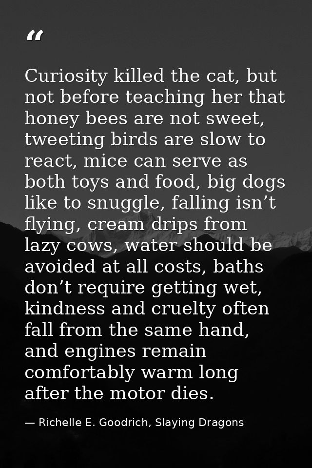 Curiosity killed the cat, but not before teaching her that honey bees are not sweet, tweeting birds are slow to react, m — Richelle E. Goodrich, Slaying Dragons