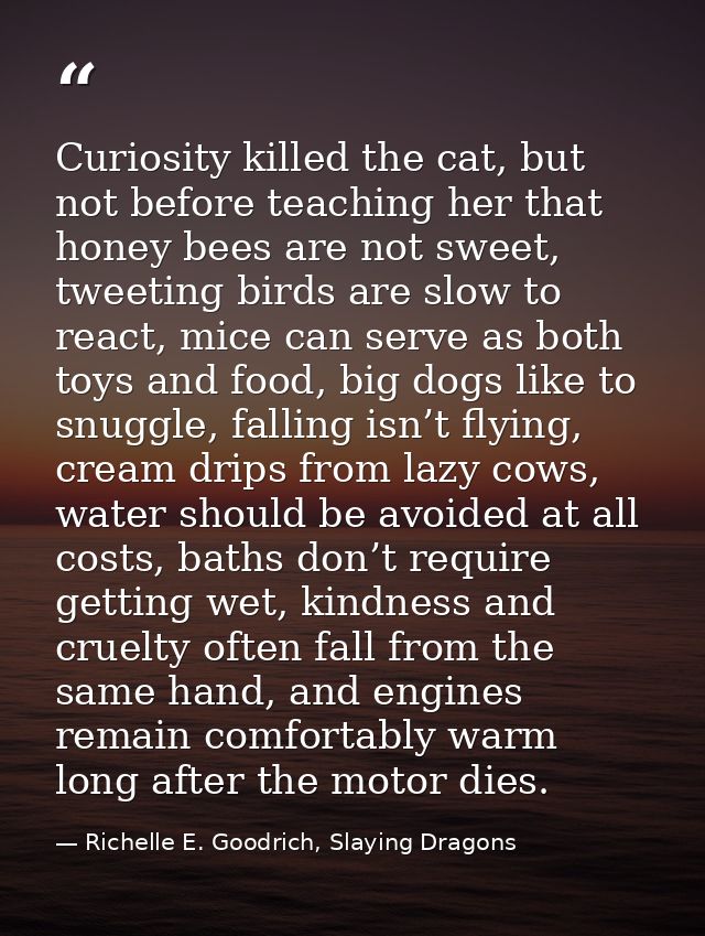 Curiosity killed the cat, but not before teaching her that honey bees are not sweet, tweeting birds are slow to react, m — Richelle E. Goodrich, Slaying Dragons