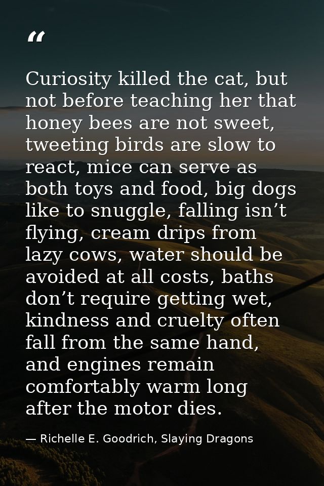 Curiosity killed the cat, but not before teaching her that honey bees are not sweet, tweeting birds are slow to react, m — Richelle E. Goodrich, Slaying Dragons