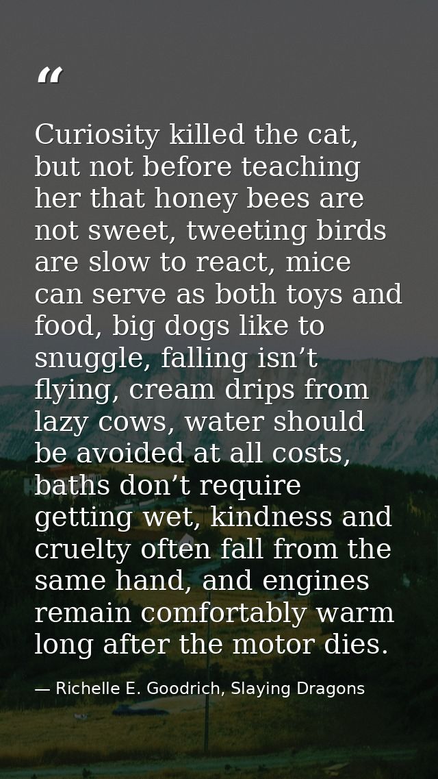Curiosity killed the cat, but not before teaching her that honey bees are not sweet, tweeting birds are slow to react, m — Richelle E. Goodrich, Slaying Dragons