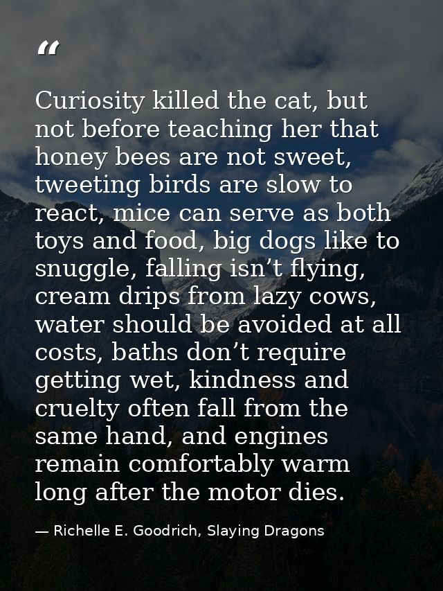 Curiosity killed the cat, but not before teaching her that honey bees are not sweet, tweeting birds are slow to react, m — Richelle E. Goodrich, Slaying Dragons