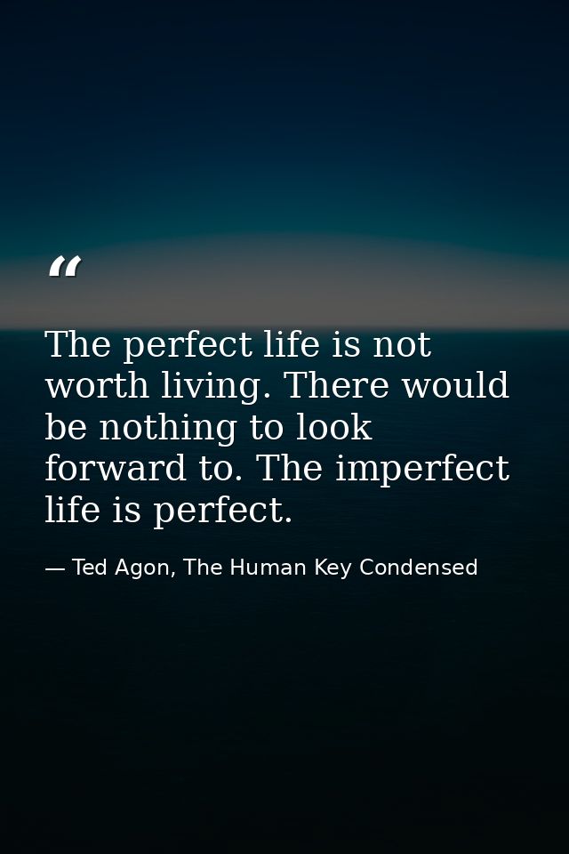 The perfect life is not worth living. There would be nothing to look forward to. The imperfect life is perfect. — Ted Agon, The Human Key Condensed