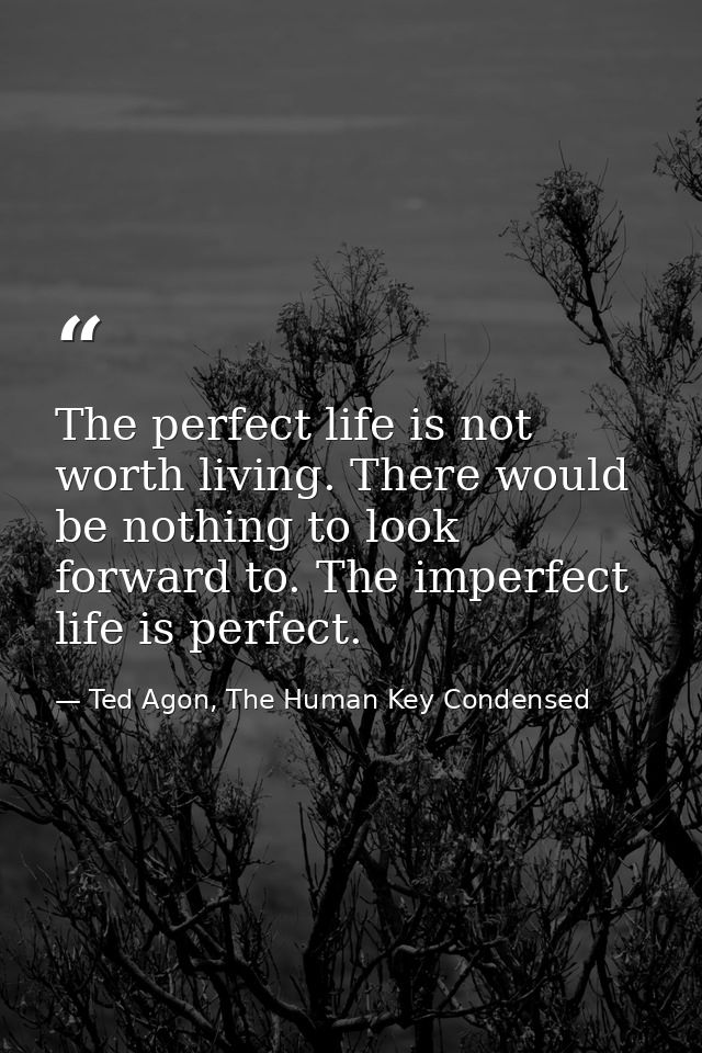 The perfect life is not worth living. There would be nothing to look forward to. The imperfect life is perfect. — Ted Agon, The Human Key Condensed