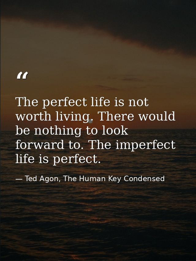 The perfect life is not worth living. There would be nothing to look forward to. The imperfect life is perfect. — Ted Agon, The Human Key Condensed