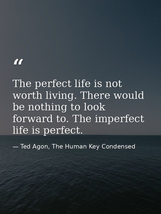 The perfect life is not worth living. There would be nothing to look forward to. The imperfect life is perfect. — Ted Agon, The Human Key Condensed