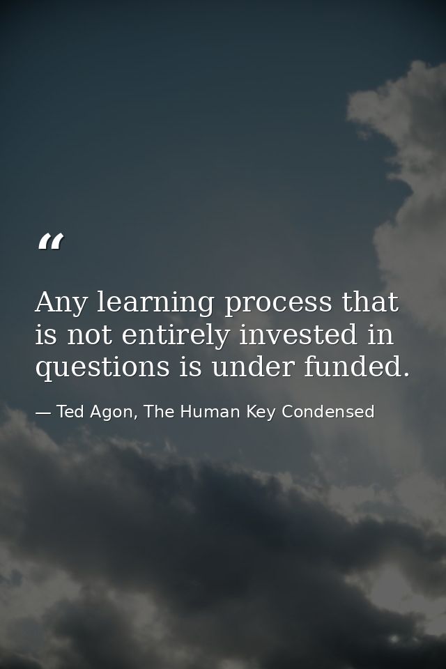 Any learning process that is not entirely invested in questions is under funded. — Ted Agon, The Human Key Condensed